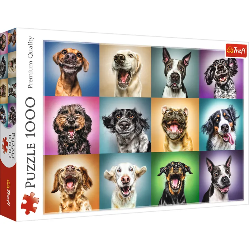 Funny Dog Portraits