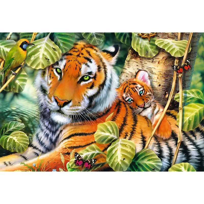 Zwei Tiger