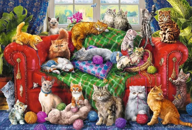 Kitten on the Sofa