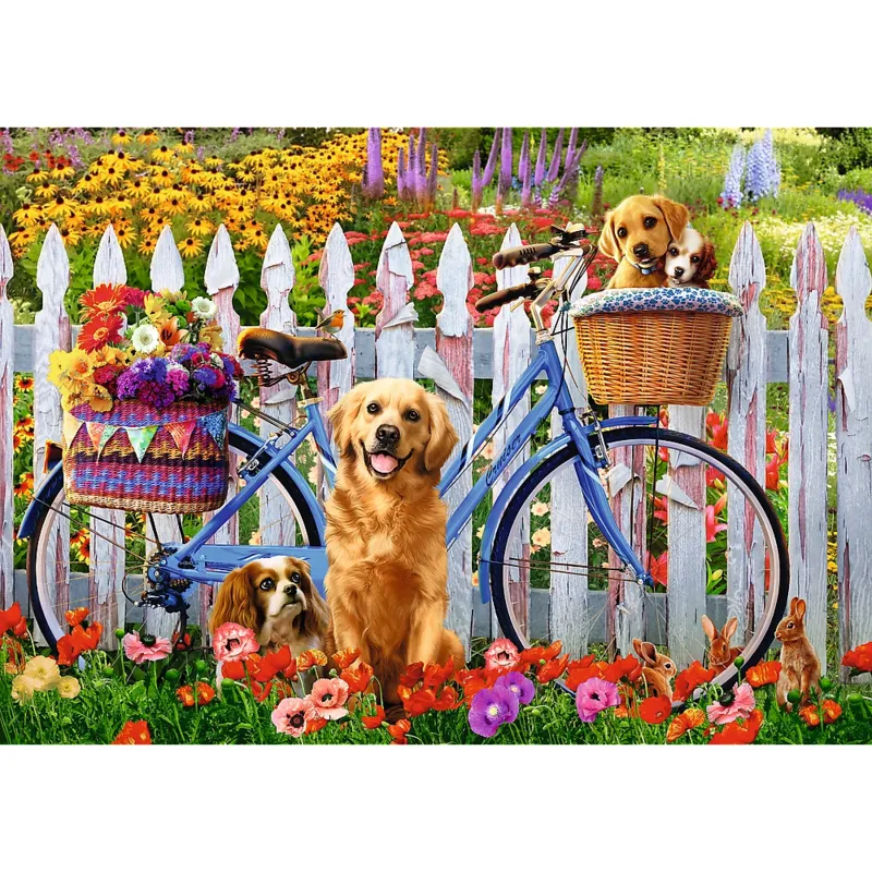 Puppies Adventure
