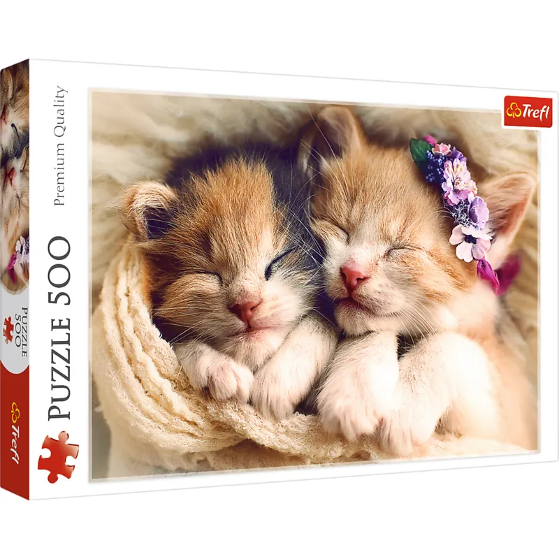 Sleeping kittens