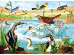 Audubon - Vögel am Bach