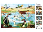 Audubon - Vögel am Bach