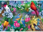 Audubon - Singvogel-Collage