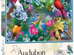 Audubon - Singvogel-Collage