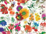 Farmer's Almanac - Gartenblumen