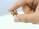 Mini Teile - World's Smallest - Blueberry Festival