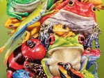 XXL Teile - Frog Business