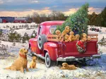 Family Outing
