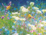 Besuch auf der Wiese