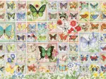 Butterflies and Blossoms