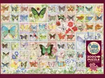 Butterflies and Blossoms