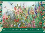 Hummingbirds of North America