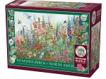 Hummingbirds of North America