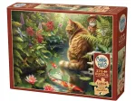 Koi Katze
