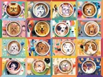 Latte Welpen