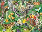 Rainforest Magic