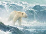 XXL Teile - Salmon Watch - Spirit Bear