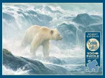 XXL Teile - Salmon Watch - Spirit Bear