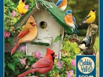 XXL Teile - Summer Birdhouse
