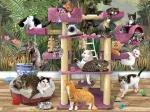 Dschungel Katzen