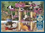 Dschungel Katzen