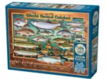 XXL Teile - World Record Catches