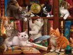 Library Kittens