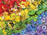 Schmetterlings-Regenbogen