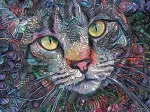 Psychedelische Katze