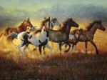 Cynthia Fisher - Running with the Wind