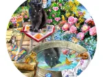 Kitty Reflections