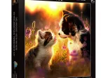 Katze und Hund