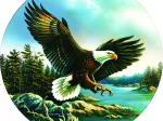 Adler-Landung