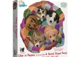 Litter of Puppies