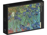 Van Gogh Vincent - Saint-Remy - Les Iris, 1889