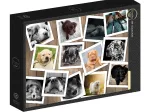 Hunde