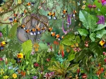 François Ruyer - Jungle