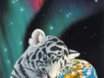 Schim Schimmel - Earth Light