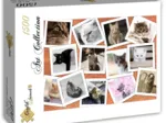 Katzen