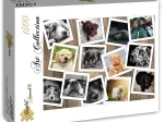 Hunde