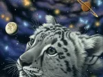 Schim Schimmel - One with the Universe