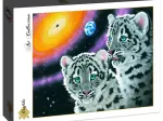 Schim Schimmel - Miracle of the Universe