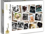 Hunde