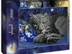Schim Schimmel - The Warmth of Home