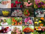 Collage - Blumen