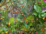 François Ruyer - Jungle