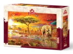 Africa Safari