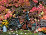 Herbst