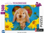 Zwergwidder-Hase